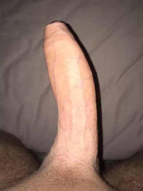 24 BWC for bottoms with toys sc: peterb7850