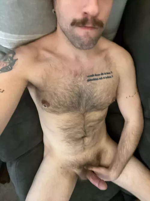 32 hairy verbal kinky bate bro. jt1735