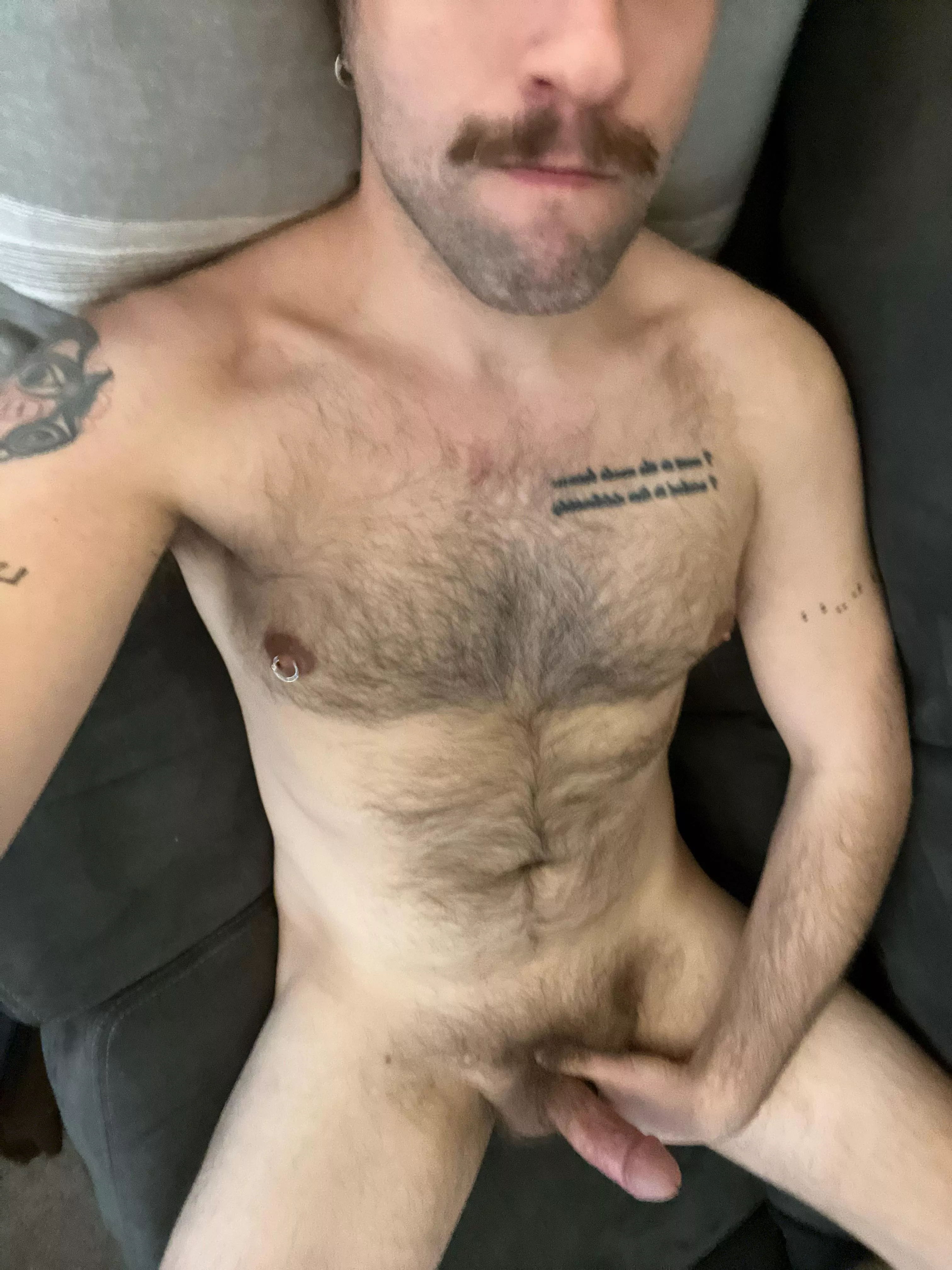 32 hairy verbal kinky bate bro. jt1735