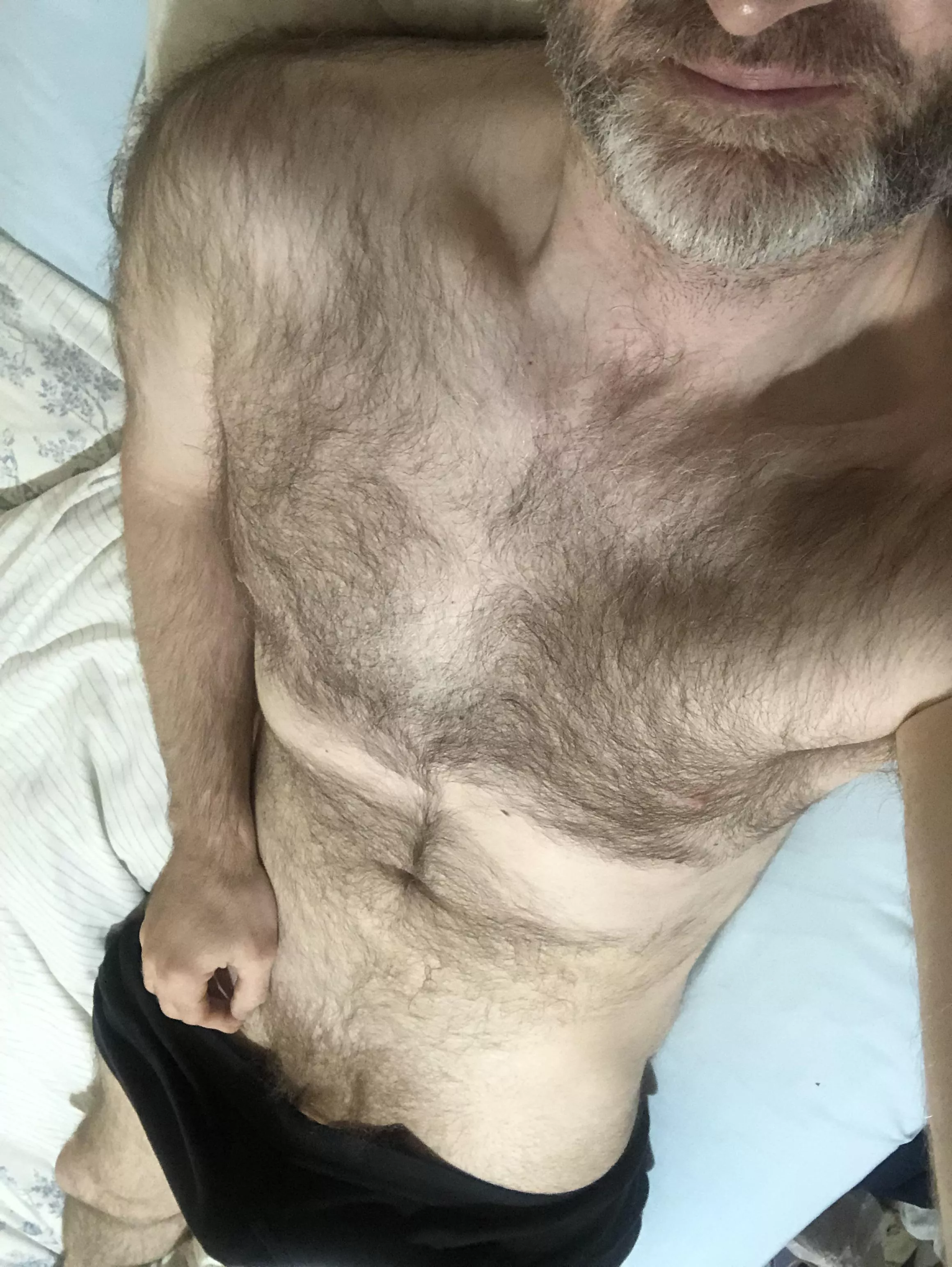[48] Hairy Silver Fox to ride