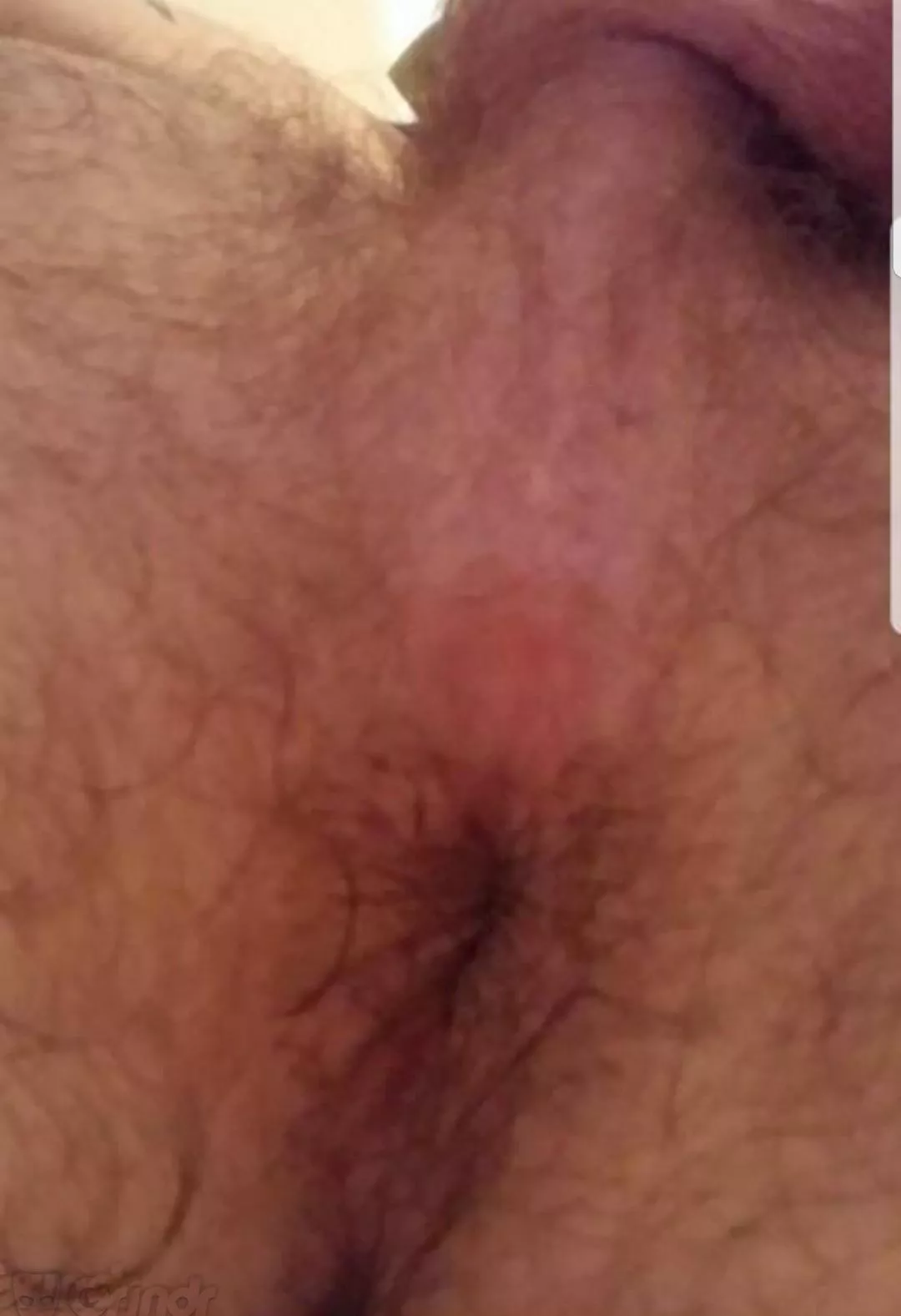 Anyone eat ass anymore?