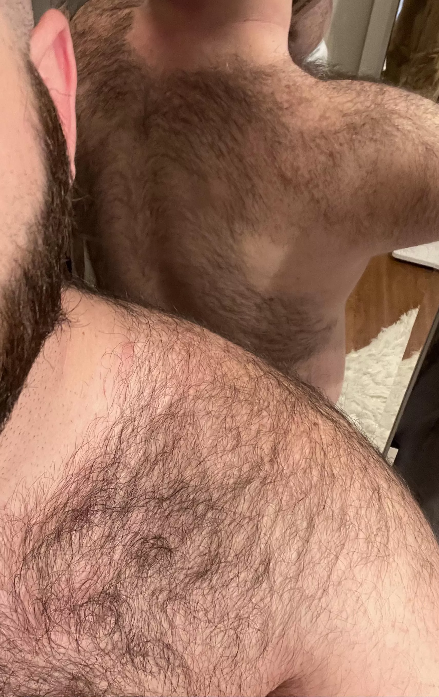 Anyone into hairy backs?
