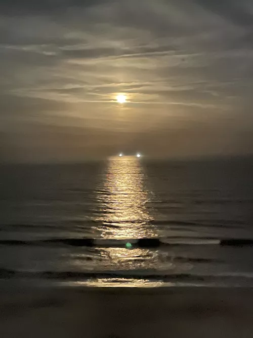 Beautiful moon rise tonight