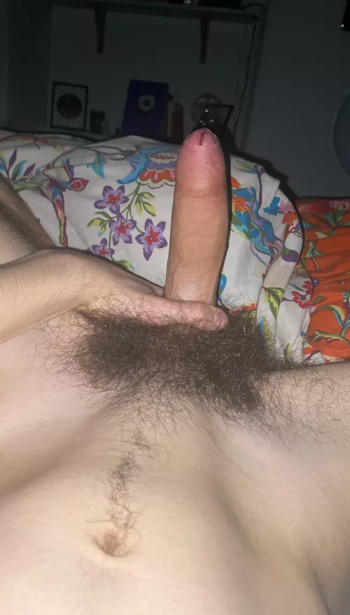 dm me if you like this hairy 18 y/o dick ;)