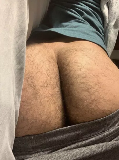 Do you like young hairy ass, daddy?