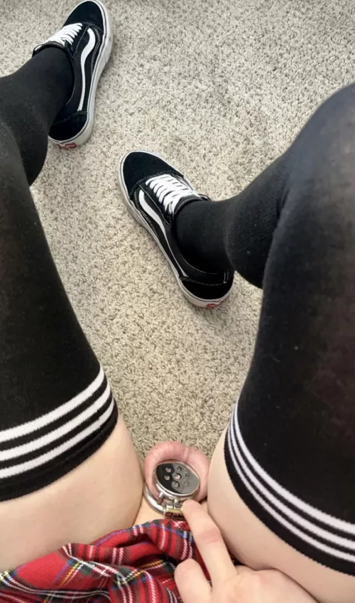 Getting more used to my flat cage