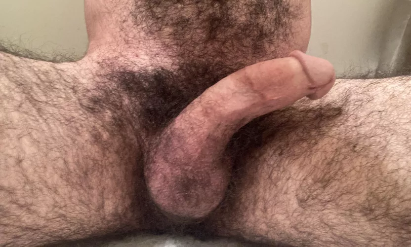 Heavy pubes & hard dick