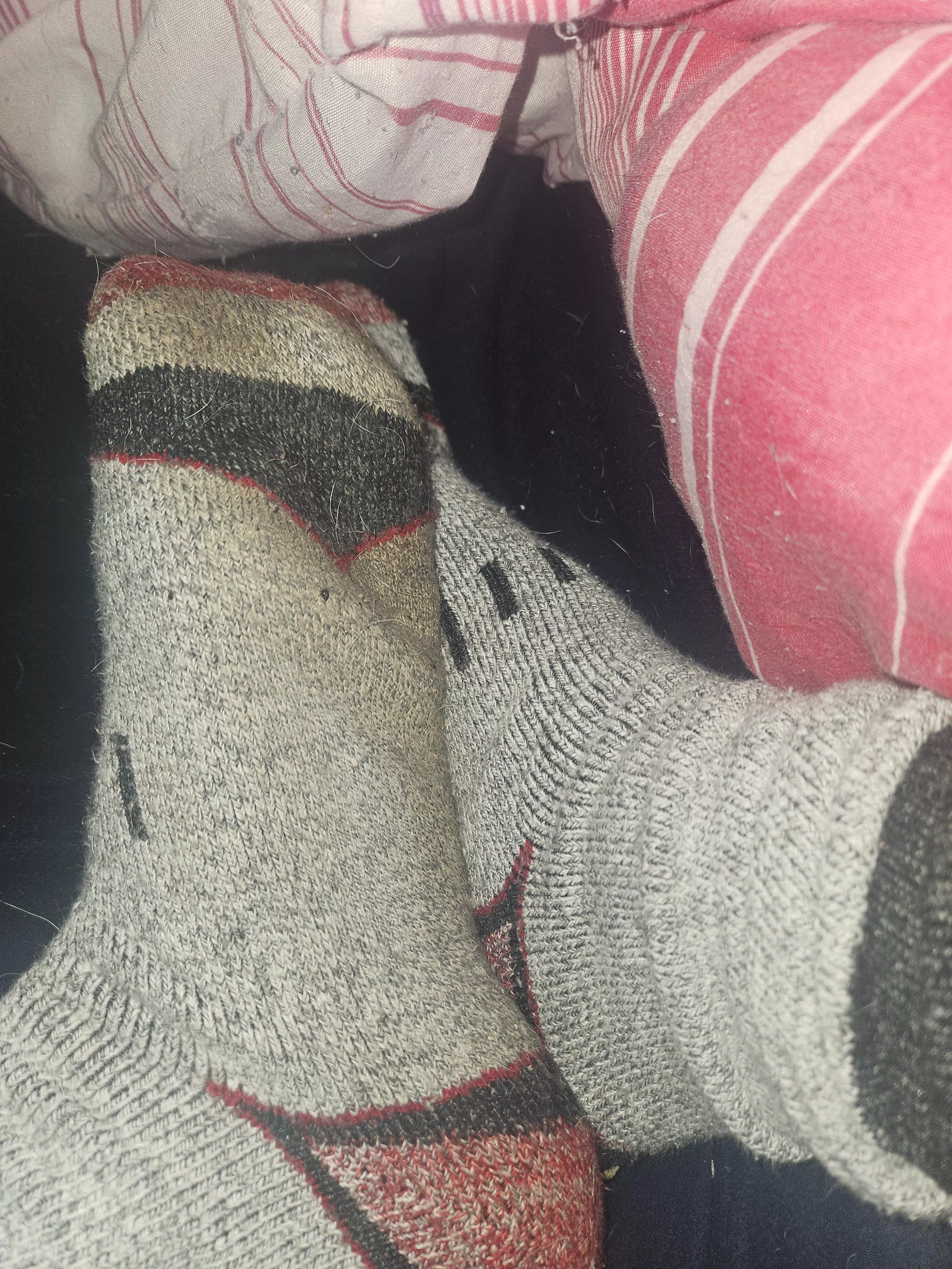 How's everyone doing today?