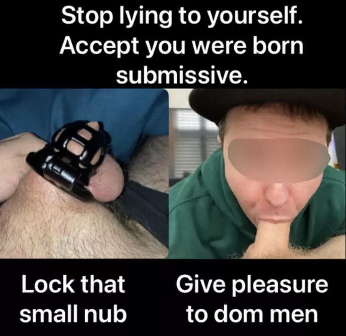 I made myself into a meme