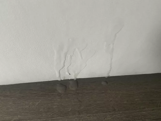 I spread out a bunch of Polaroids of my wife sucking her ex’s cock. Blew this load on the couch