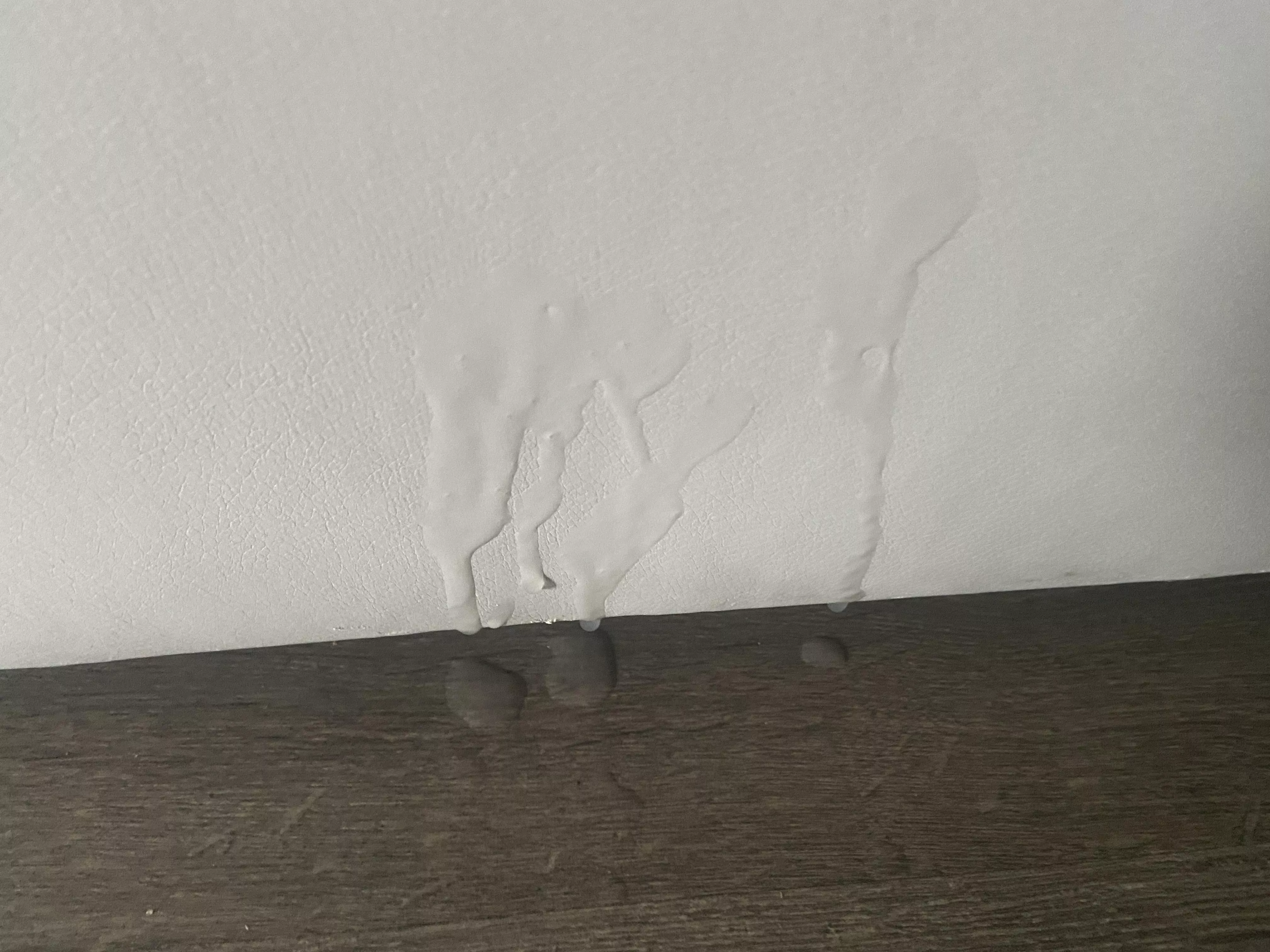 I spread out a bunch of Polaroids of my wife sucking her ex’s cock. Blew this load on the couch