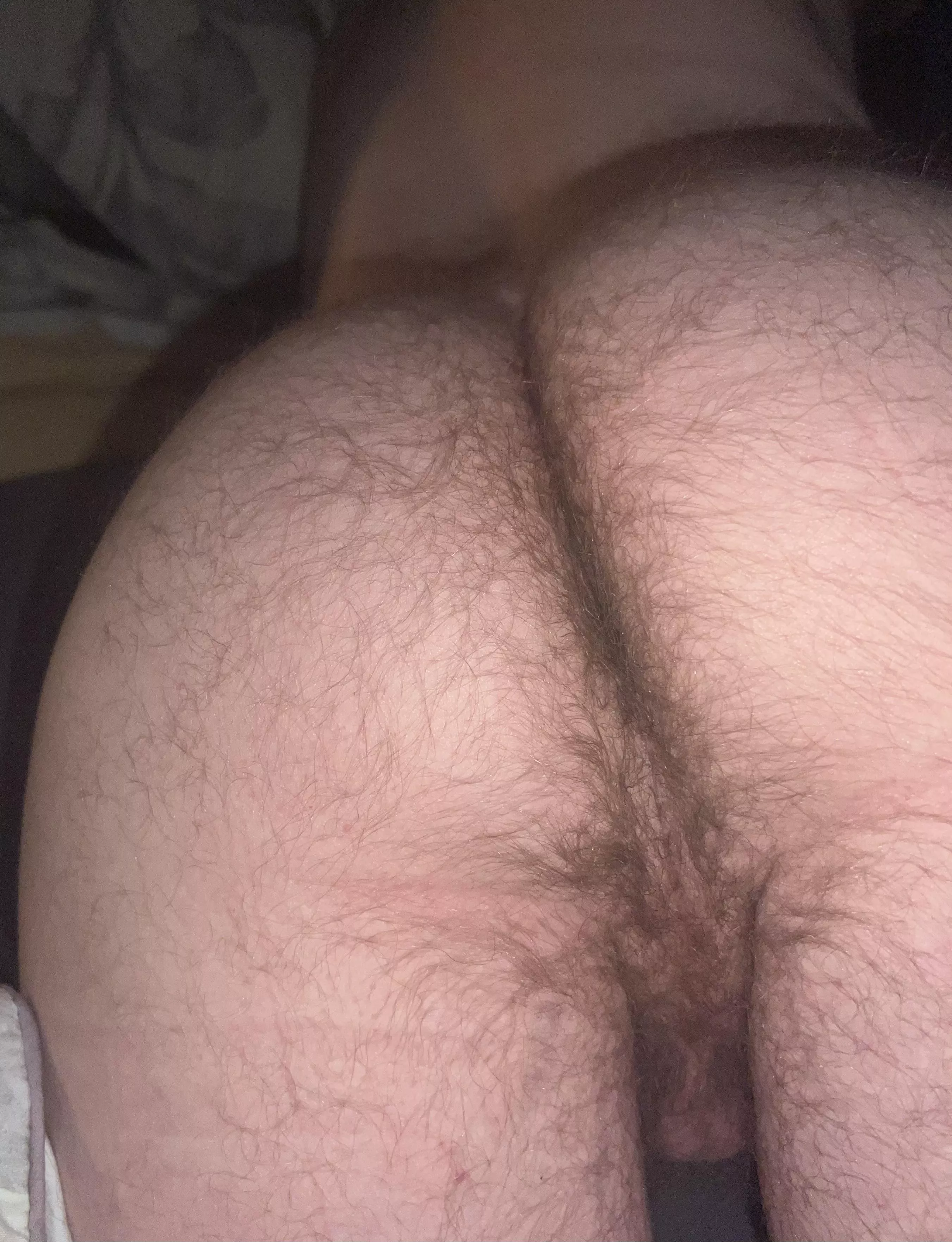 I'd love to stick my hairy butt in your face