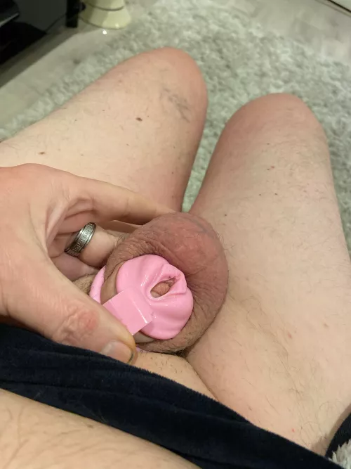 Ironically I’m locked in a pussy