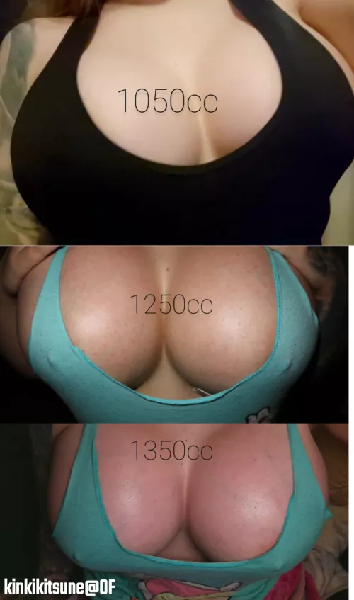 [Kinkikitsune] Comparison 1050-1350cc