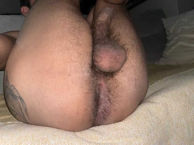 My bush and my hole