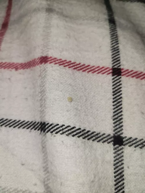 My new best friend...