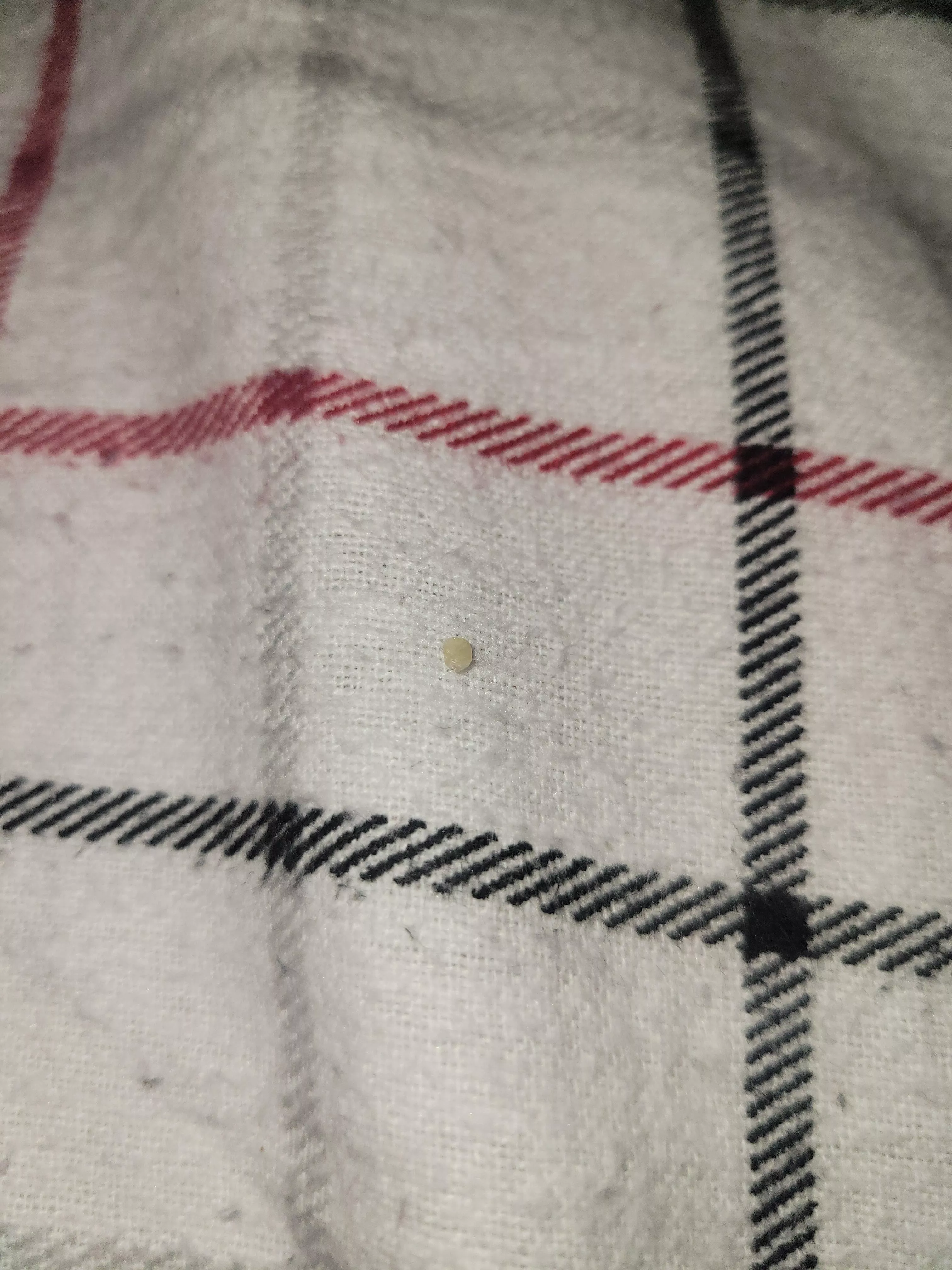 My new best friend...