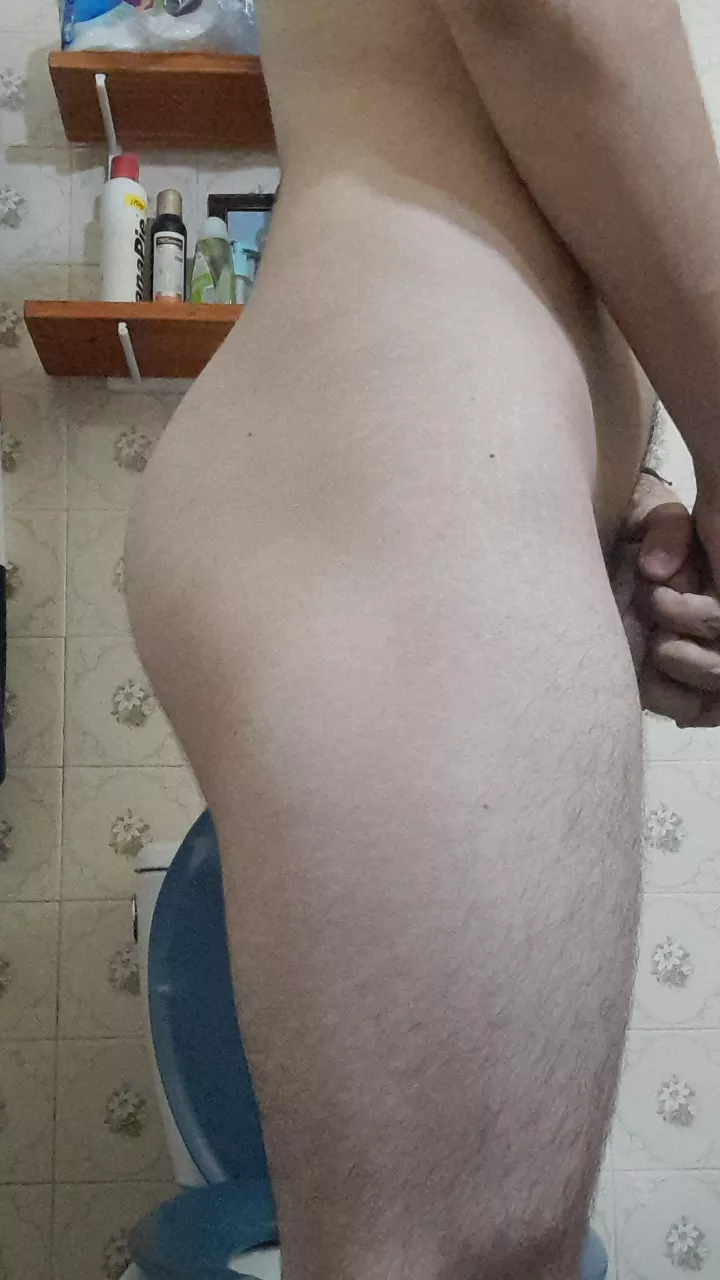 New to leg training, what you think?