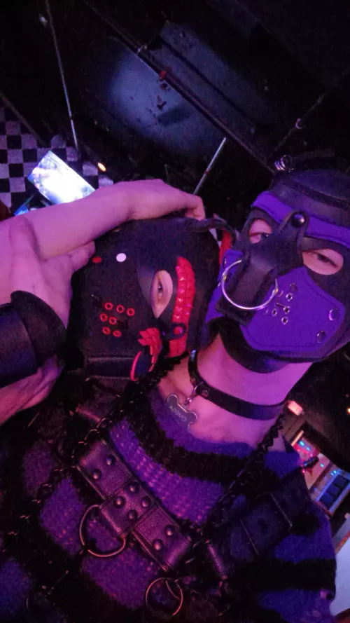 Pup brothers out at a club