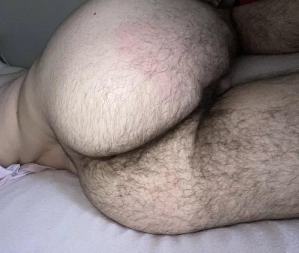 Some daddy who wants a hairy ass