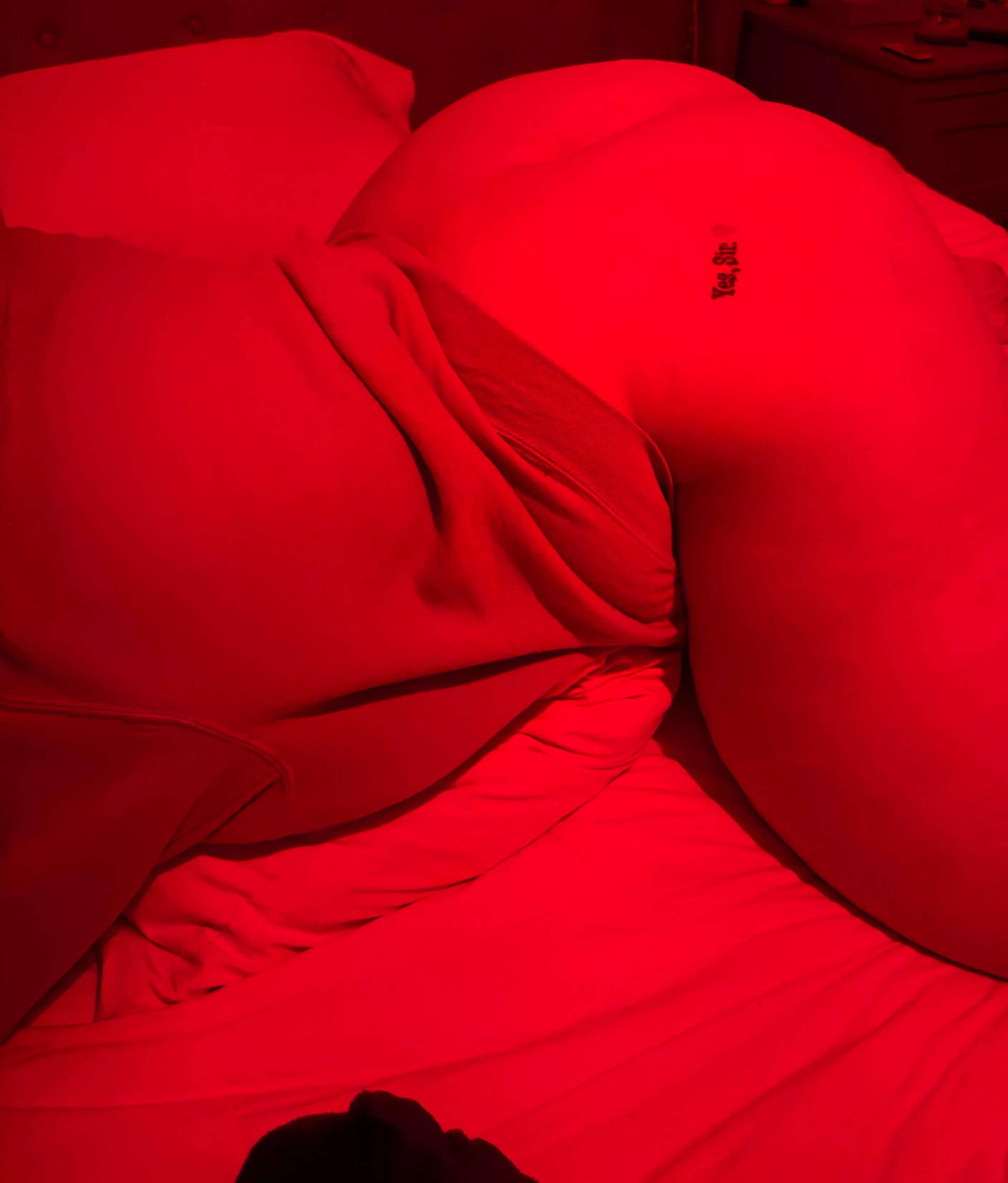 The perfect hips to grip when you’re fucking me hard [wbo oc]