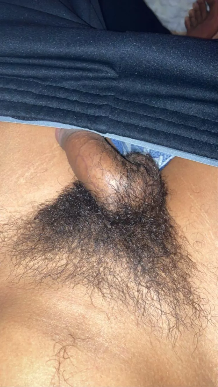 Thoughts on my pubes?