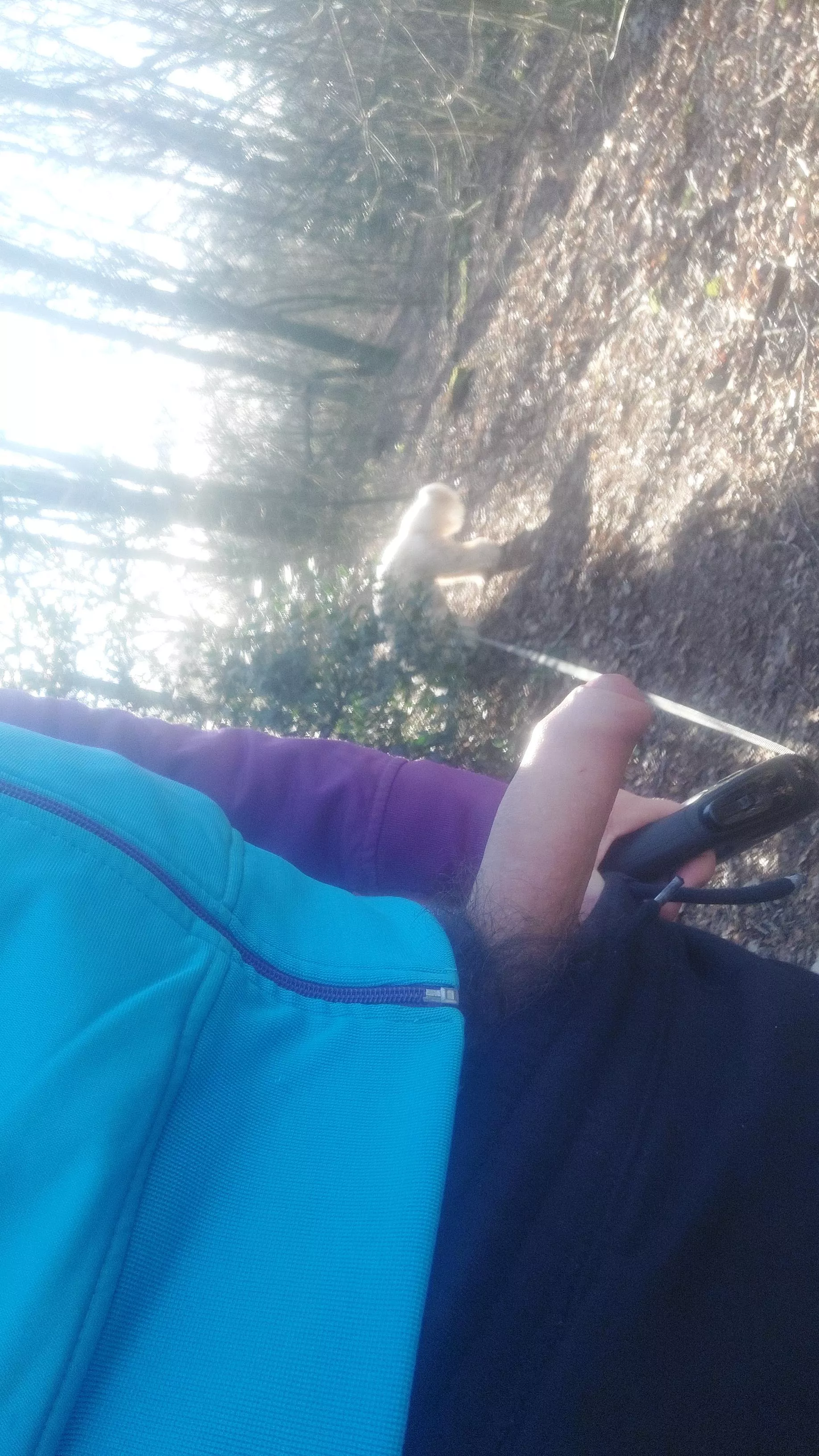 Walking the dog dm for more