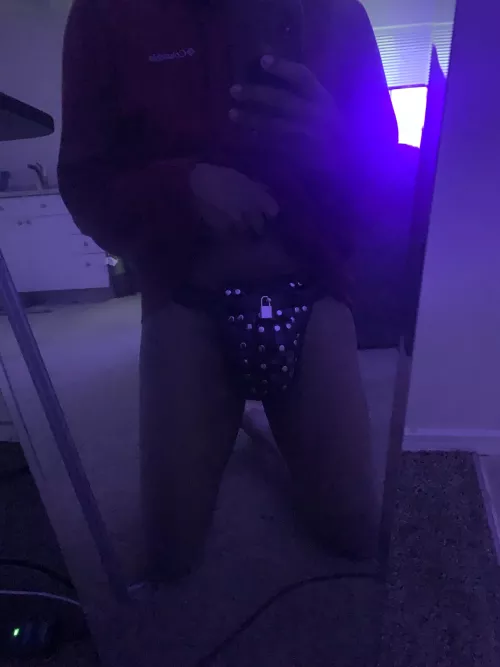 When you’re in a Female Led Relationship you belong to her