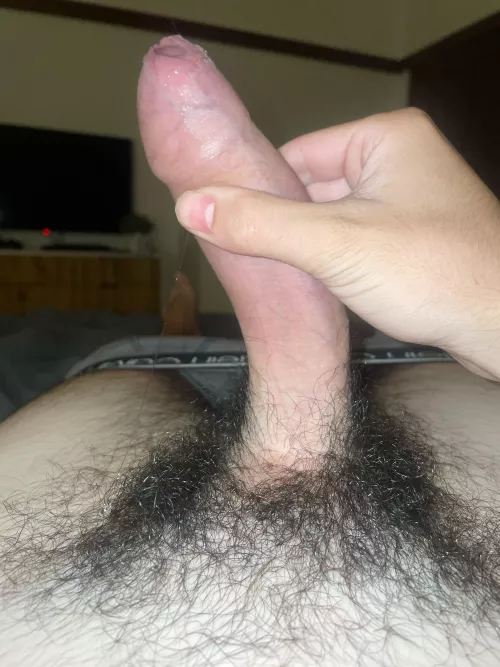 19m need one of you hairy boys to suck me off add Pickle9918