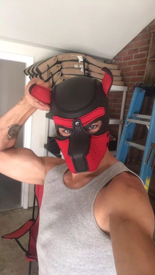 Absolutely zero judgment kind of guy here. That being said...what's your most naughty/bizarre kink?