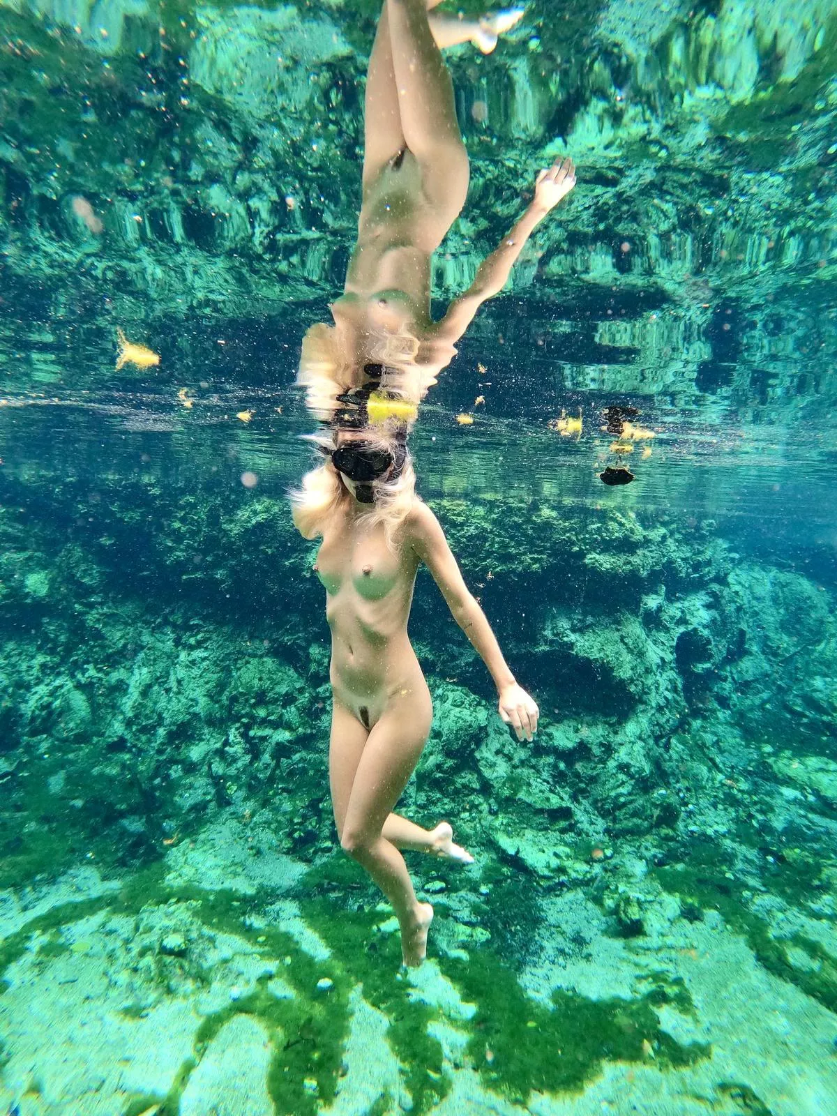 Beautiful reflection