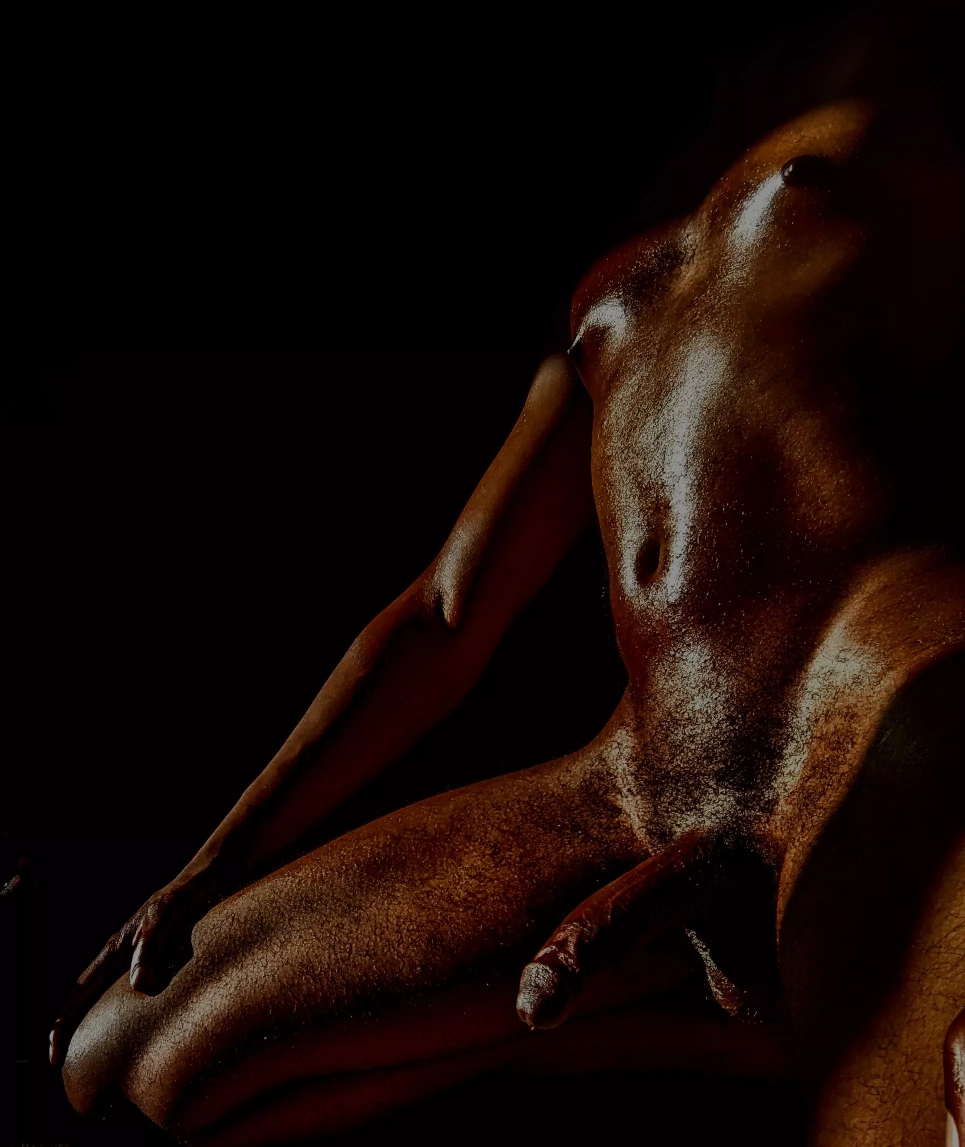 Co(m)plete Darkness; Practicing Predatory Patience