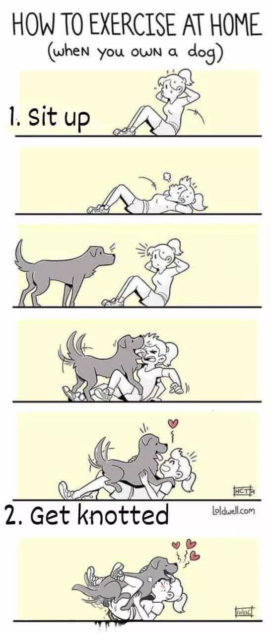 “Getting Knotty is the only reason exercising at home makes sense.. [Loldwell]”