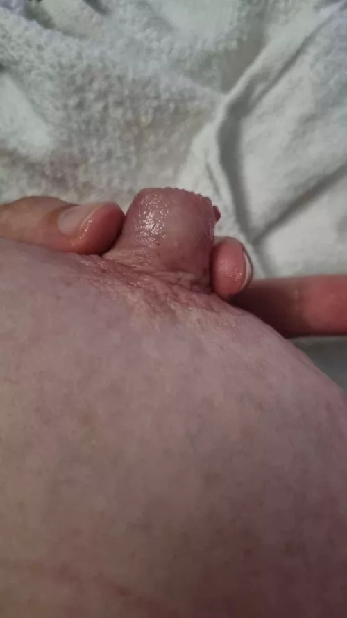 Getting longer and thicker by the day!