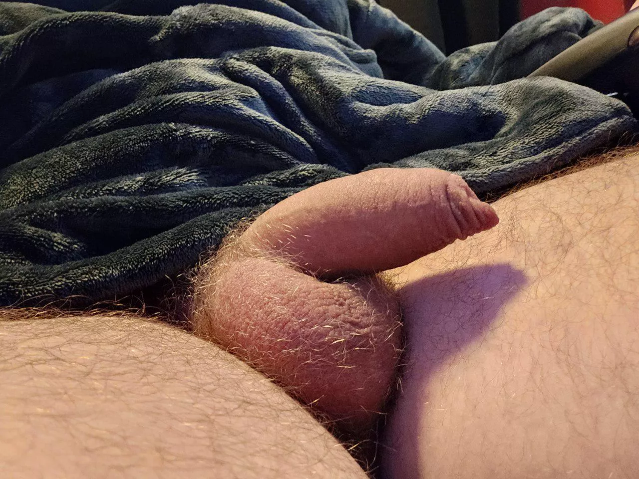 Growing my bush back, suck my hairy balls?