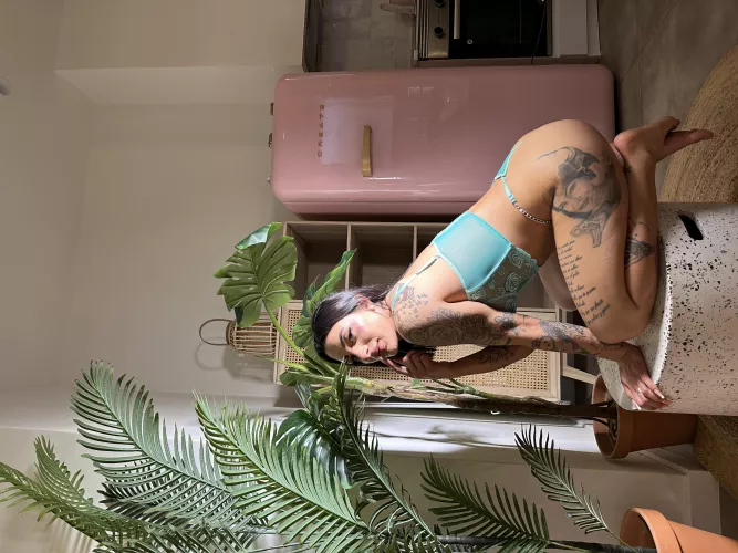 Have you ever given a nice girl like me a really hard fuck and spit in her face?