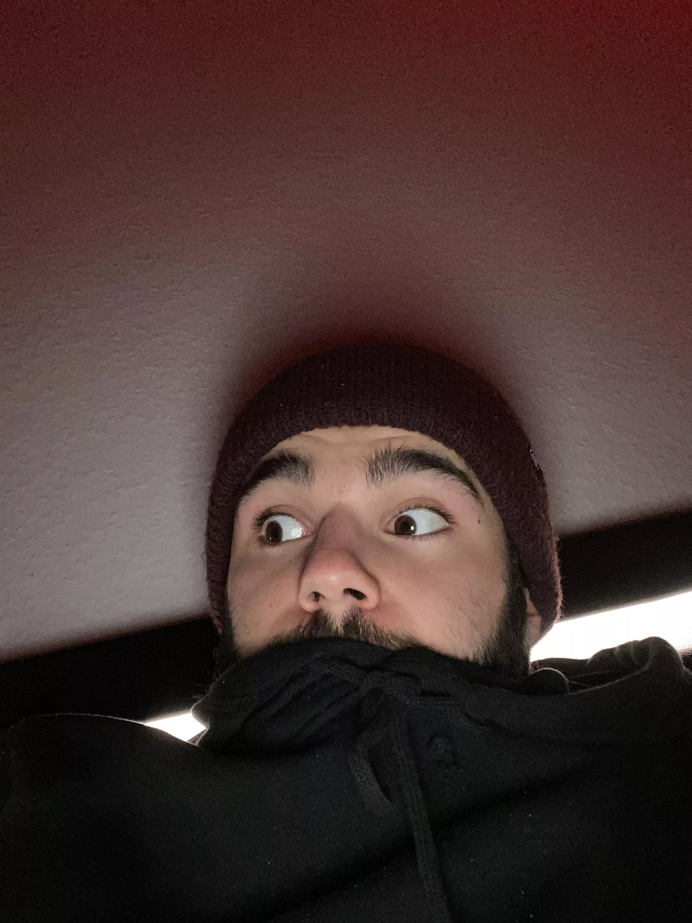 I wanna cuddle and fall asleep I wanna cuddle and fall asleep