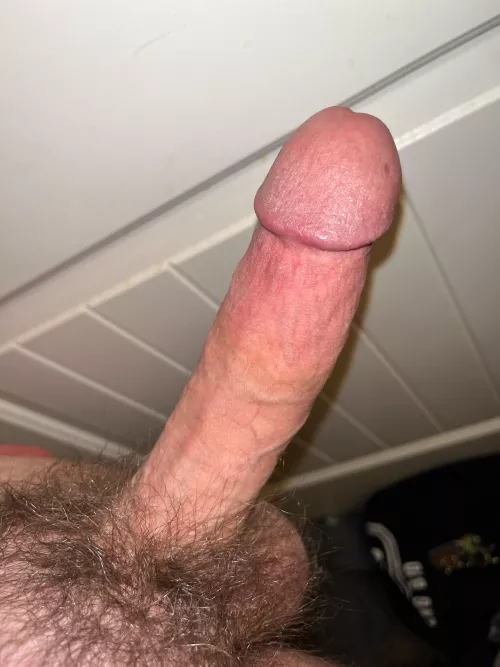 Morning wood ;)