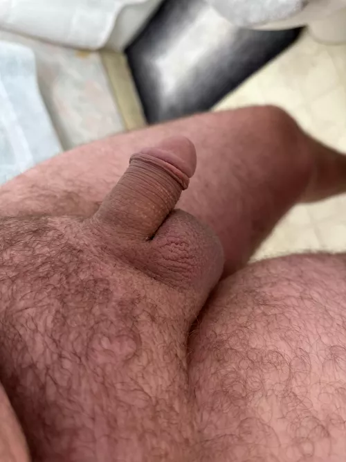 My small cut cock, what do you think?