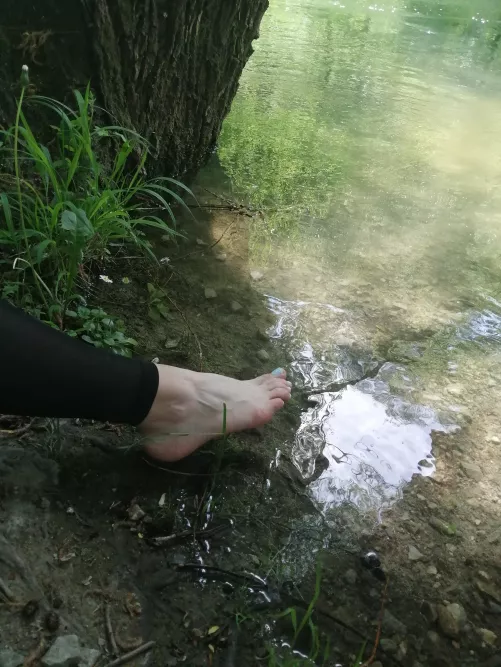 Never realized how veiny my feet get after a hike 😳