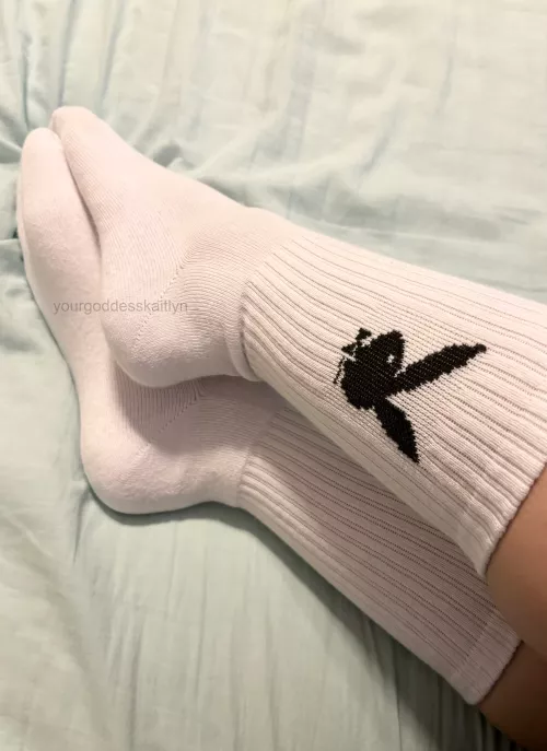 new playboy bunny socks!