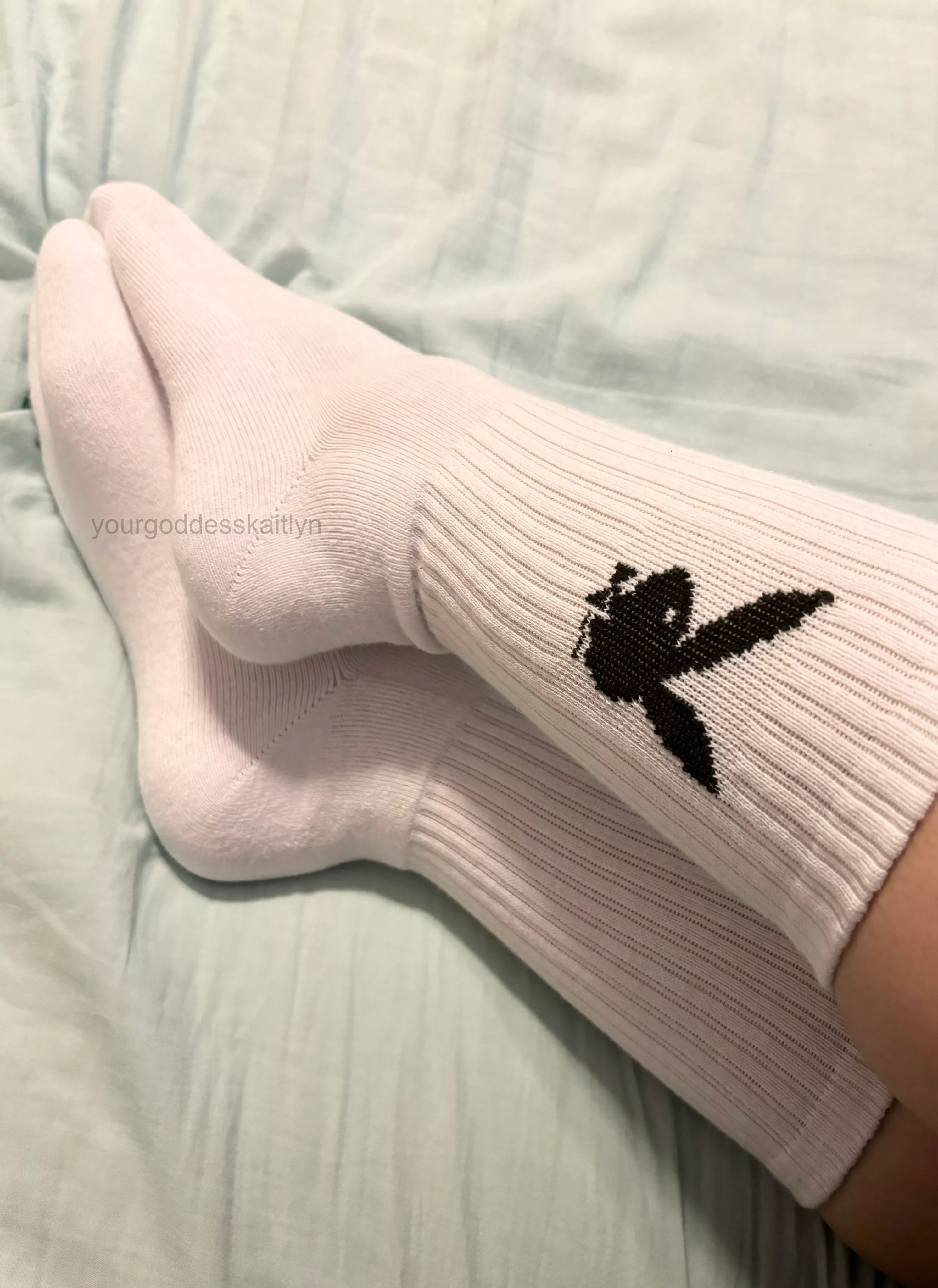 new playboy bunny socks!