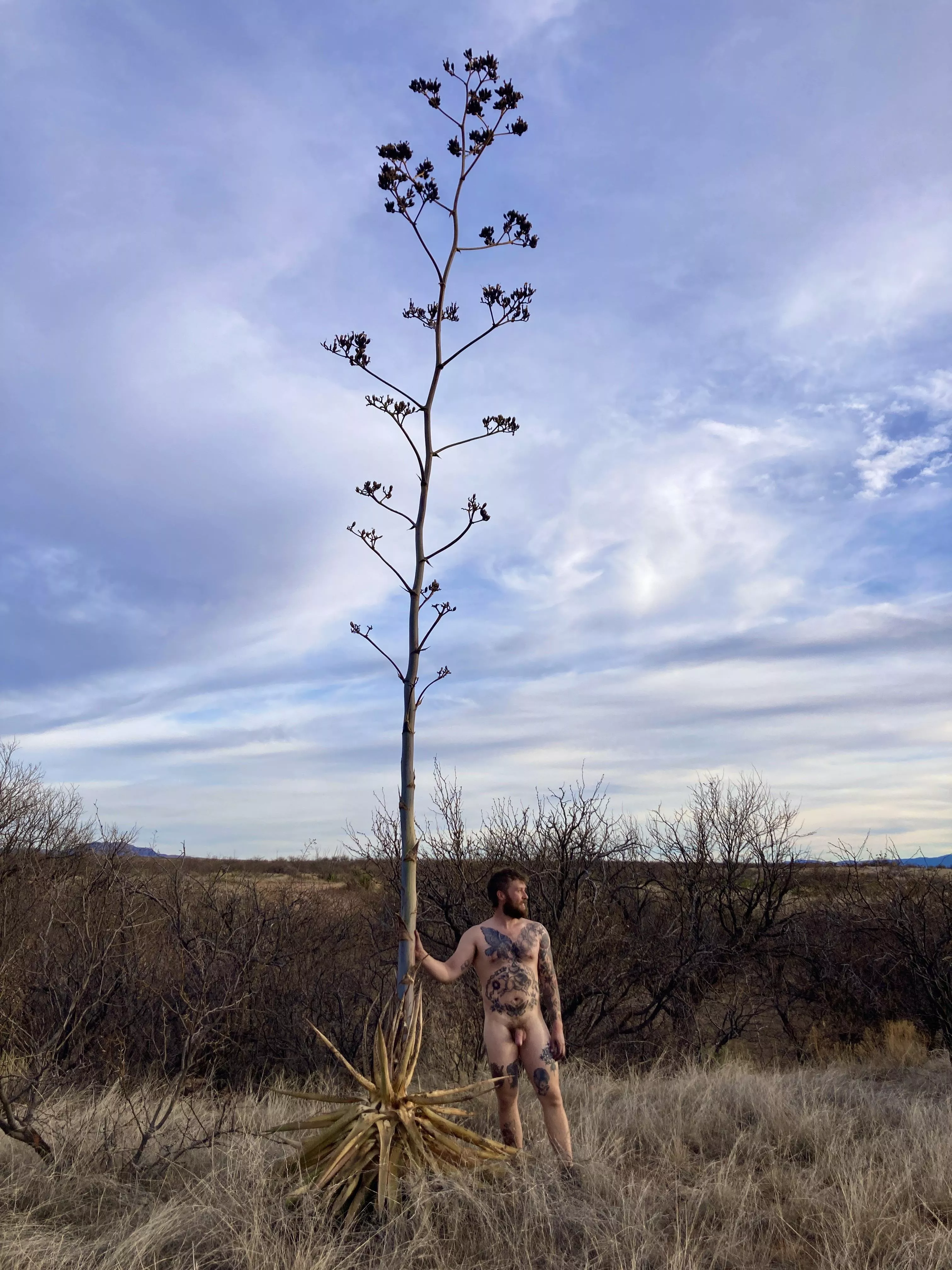 Next to my favorite plant