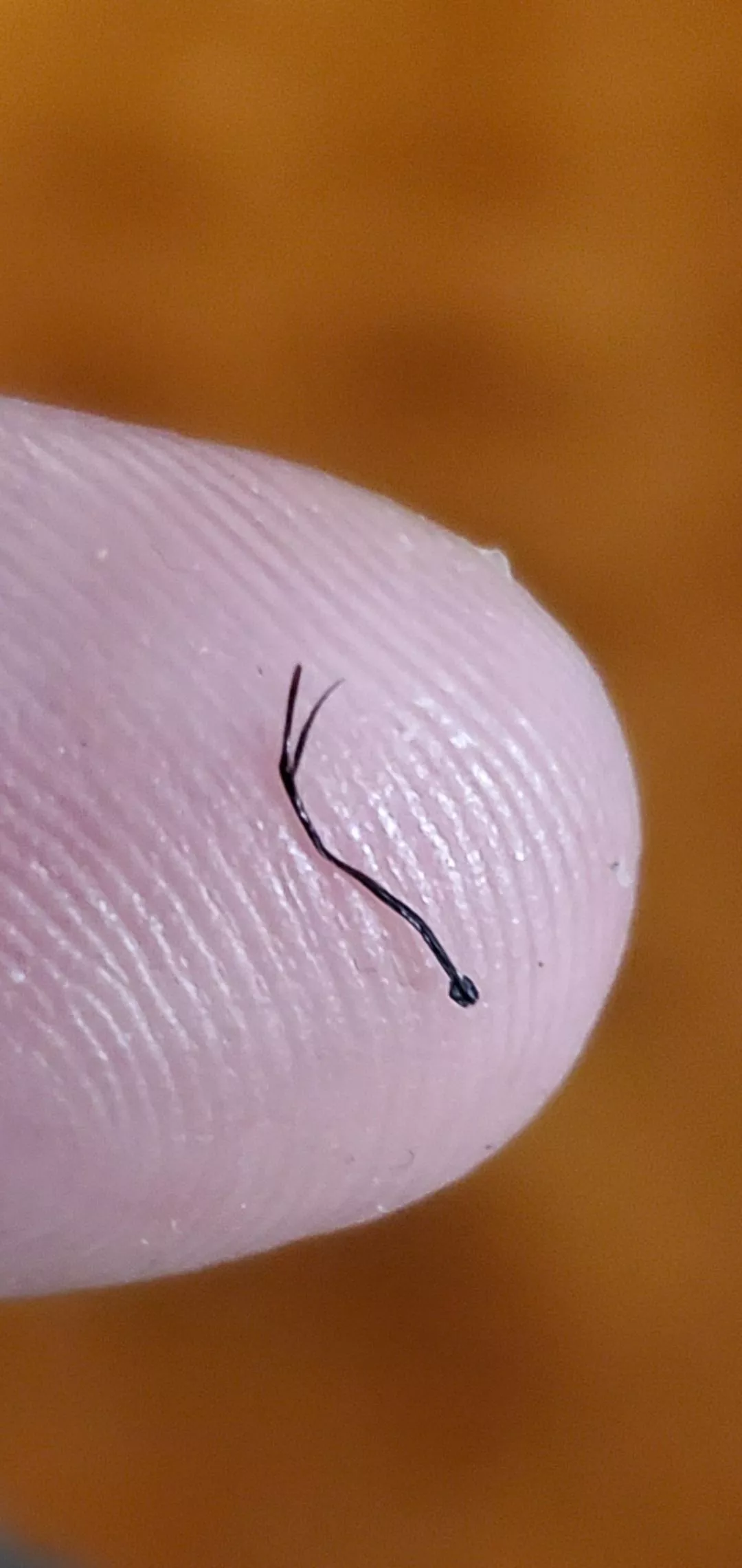 Not sure where to post this, but the relief of pulling this out of my beard was incredible