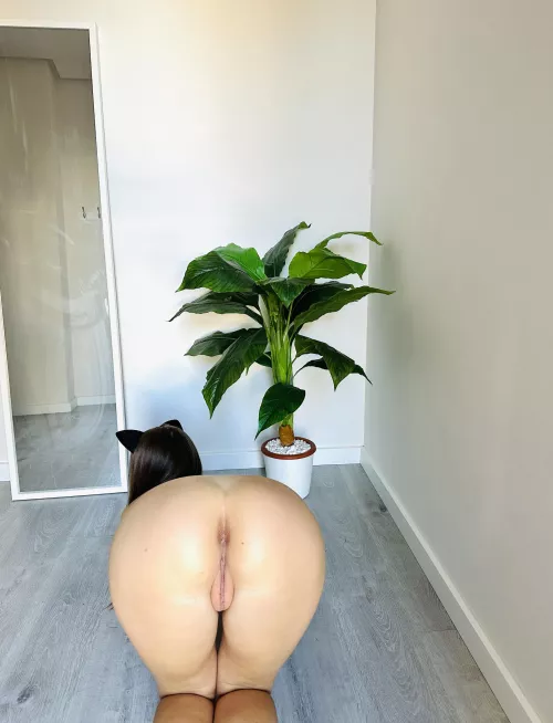 Oh, something fell on the floor and I can't pick it up