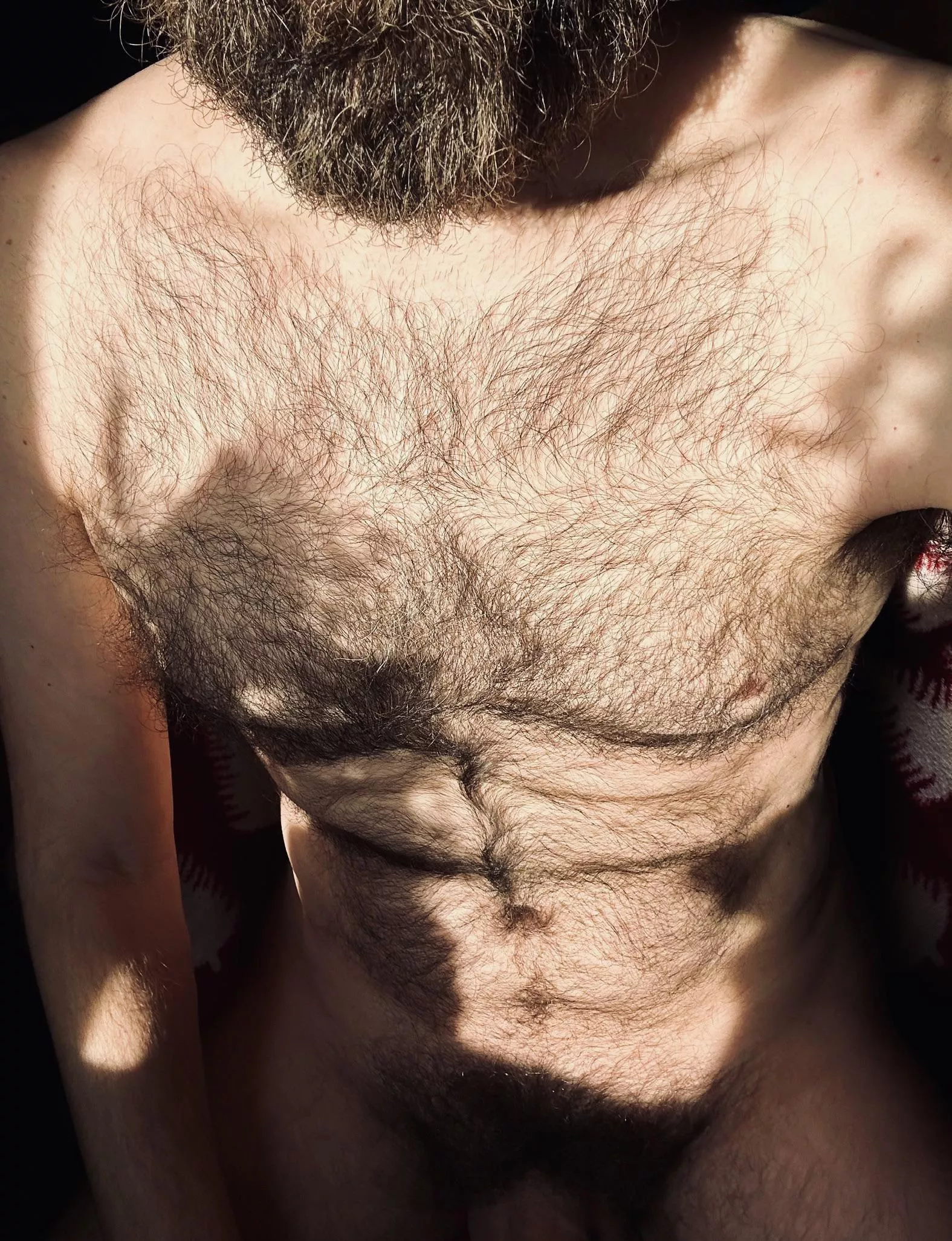 Recharging in the sunlight after a long night of fucking...