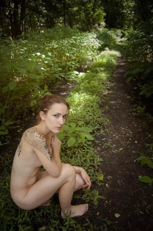 Shy little forest fawn