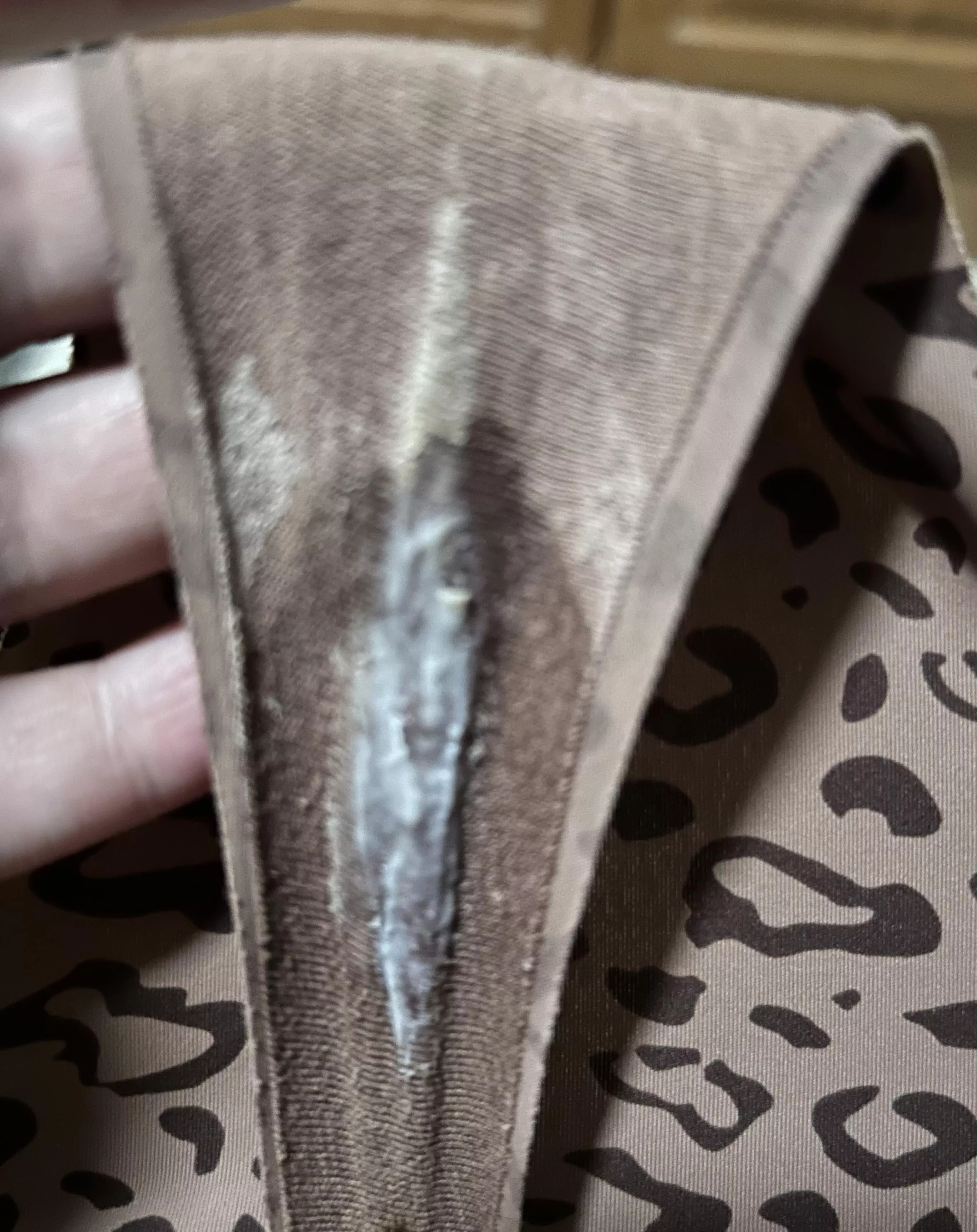 Somebody is wet……I love when the wife shares with me!!!!