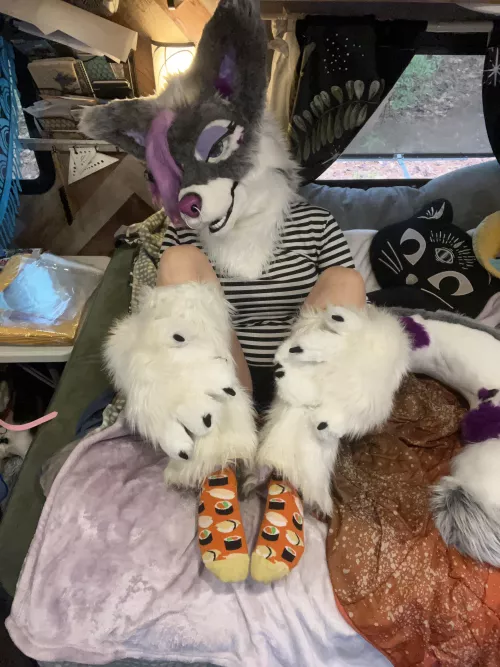 Sushi socks!!!