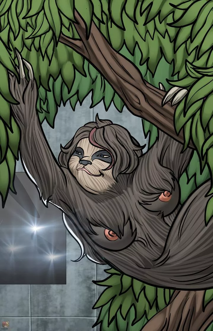 Taking it Slow (F Human > F Sloth)